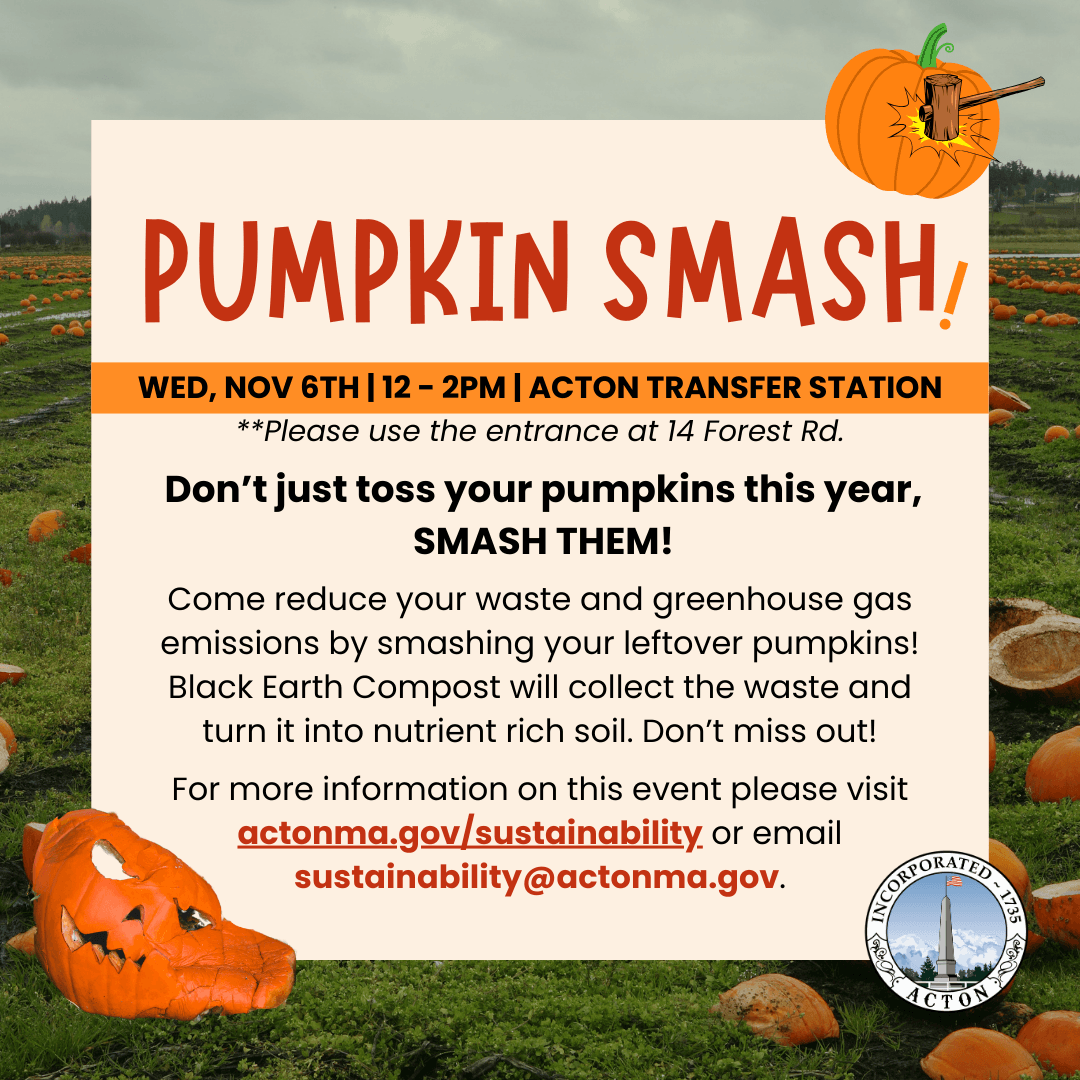 PUMPKIN SMASH social post