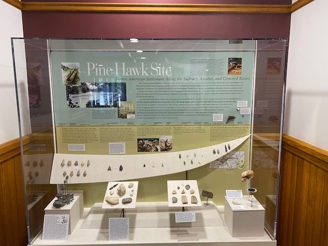 Pine-Hawk-display-AML