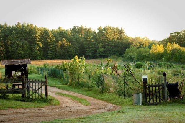 Morrison Farm Irrigation Well