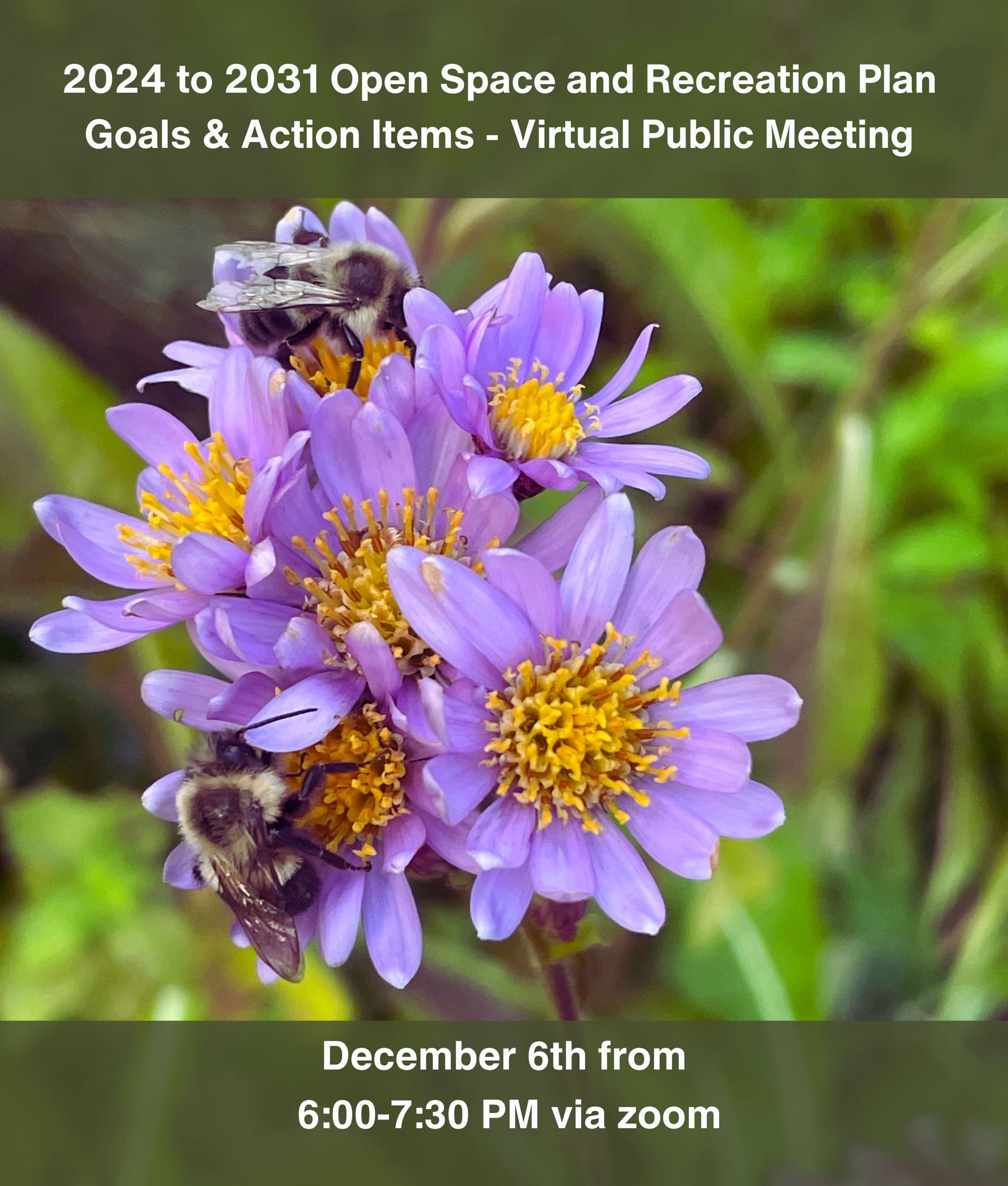 Open Space and Recreation - Goals and Action Items Public Meeting (1)